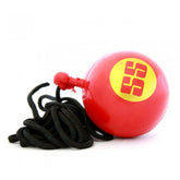 SS Hanging Ball